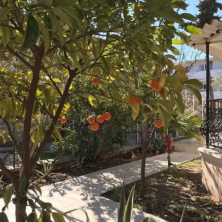 Villa Hanorah