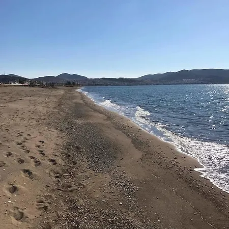 Hanorah 디킬리